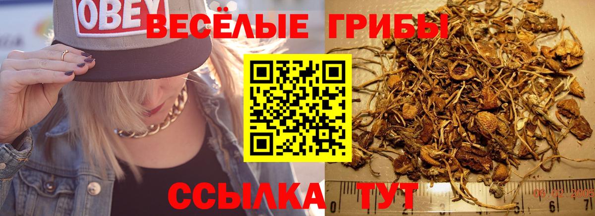 Галлюциногенные грибы мицелий  Вход с VPN  Ярцево 